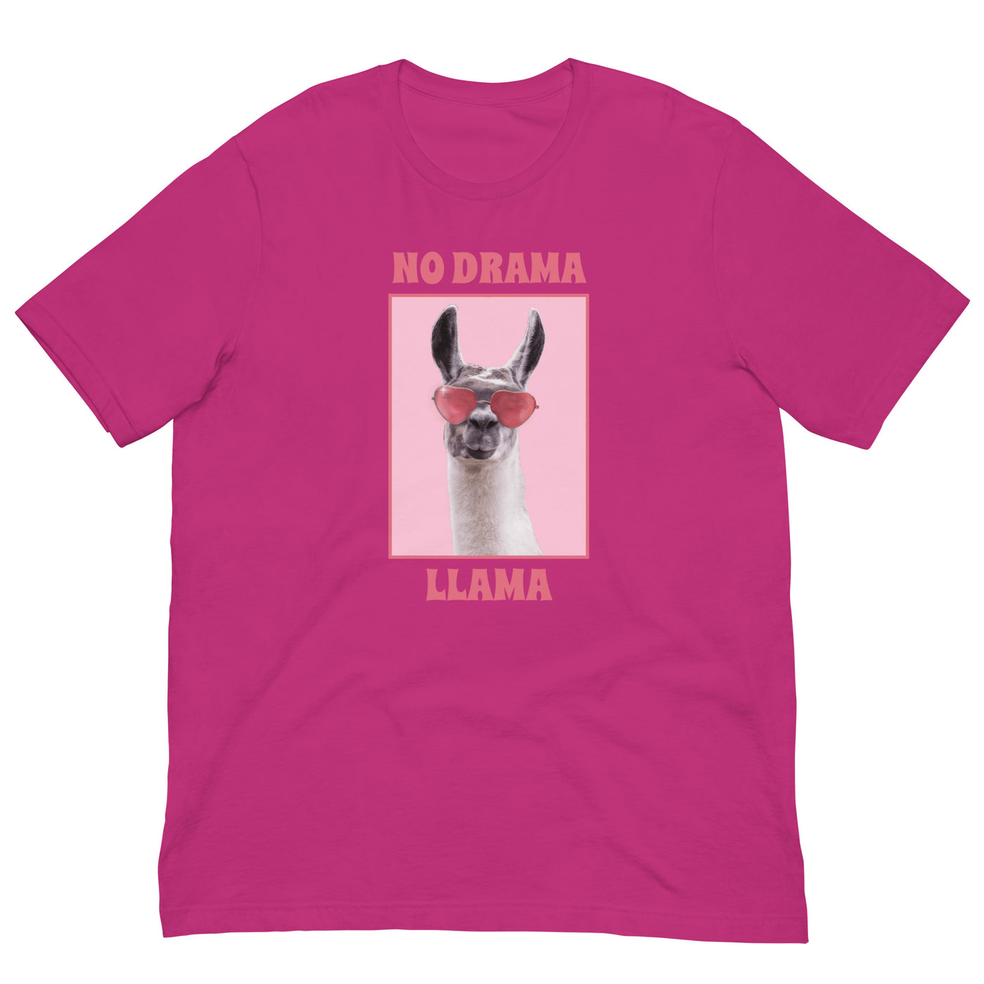 Drama Llama Plus Size T-Shirt