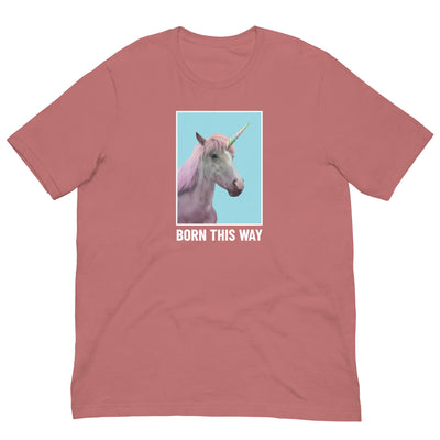 Born this Way Plus Size T-Shirt